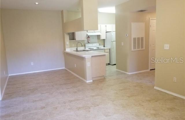 13104 SANCTUARY COVE DRIVE Gallery 2