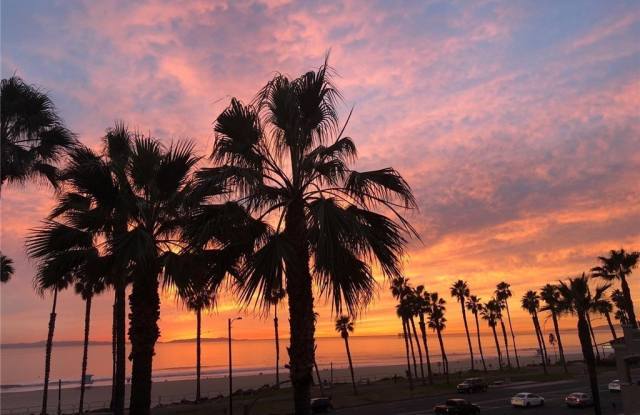 1516 Pacific Coast Gallery 3