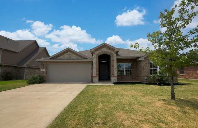 4124 Bridle Path Lane - 4124 Bridle Path Lane, Sanger, TX 76266