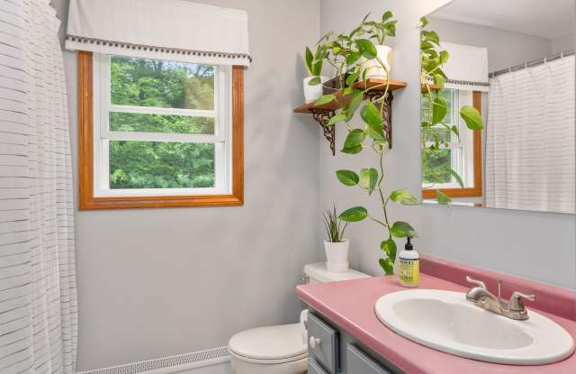 59 Lincoln Street photos photos