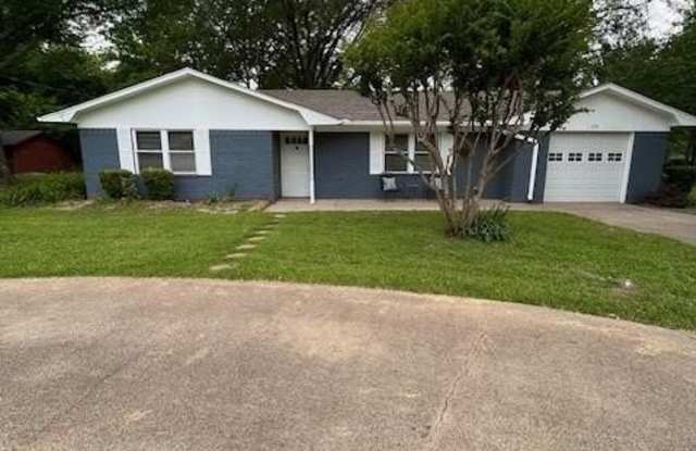179 Chestnut Drive - 179 Chestnut Street, Van, TX 75790