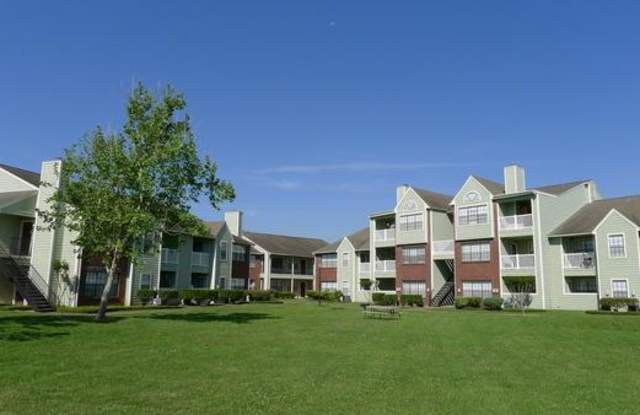 Raintree photos photos