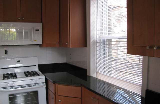 4411 N. Greenview - 2S Gallery 4