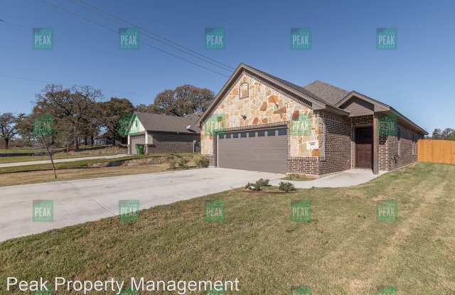359 E 9th St - 359 East 9th Street, Springtown, TX 76082