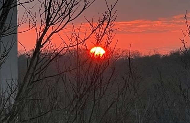 2630 Talley Street photos photos