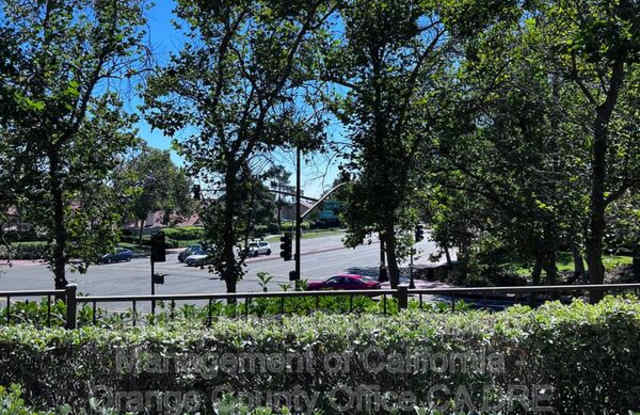 55 Montana Del Lago Dr Gallery 3