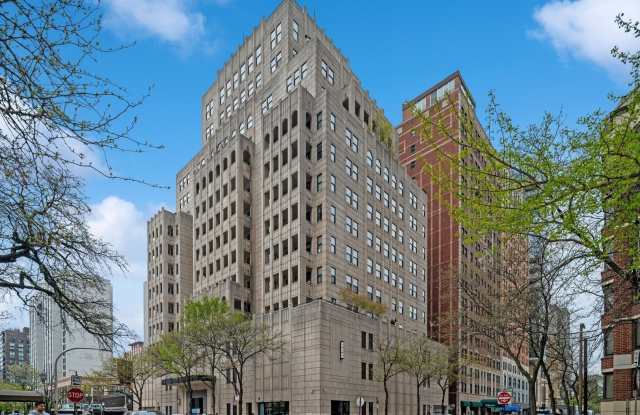 1155 N DEARBORN Street photos photos