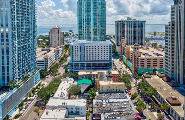 215 CENTRAL AVENUE - 215 Central Avenue, St. Petersburg, FL 33701