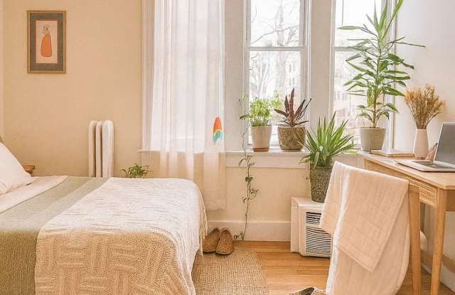 Fantastic 4-bed, 1.5 bath Unit in Brookline Gallery 4
