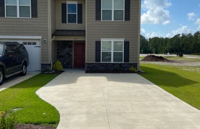 225 Boyington Place Rd - 225 Boyington Place Rd, Piney Green, NC 28544