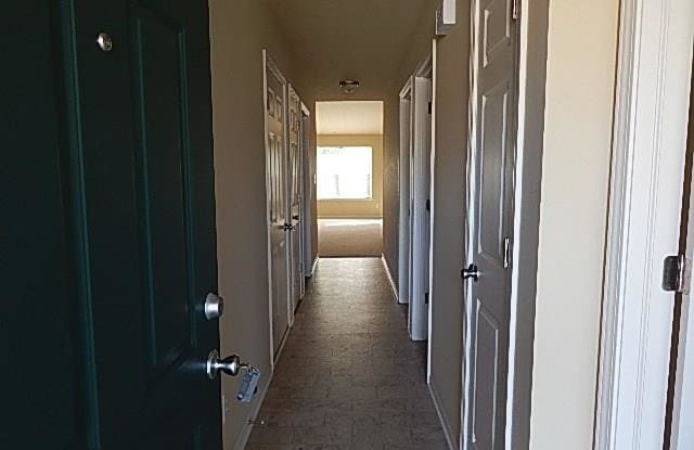 7823 Trisa Court Gallery 2