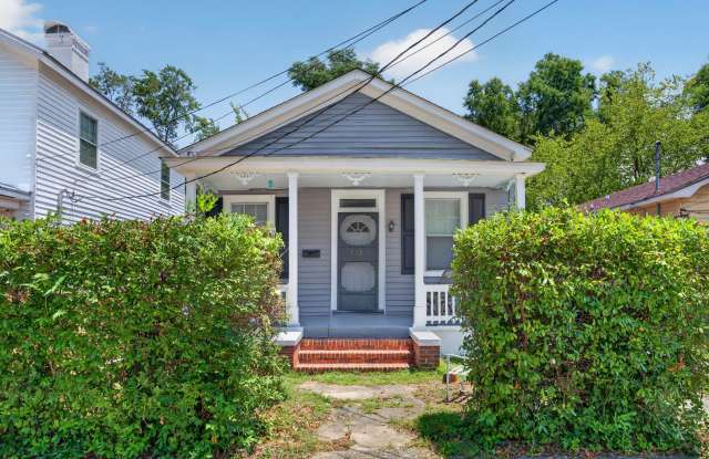 Historic Downtown ILM Gallery 1