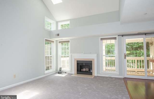 6856 BRINDLE HEATH WAY #219 Gallery 2