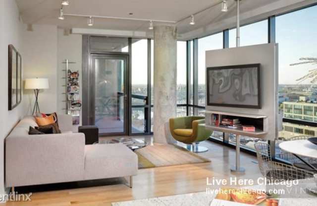841 W Blackhawk St - 841 West Blackhawk Street, Chicago, IL 60642