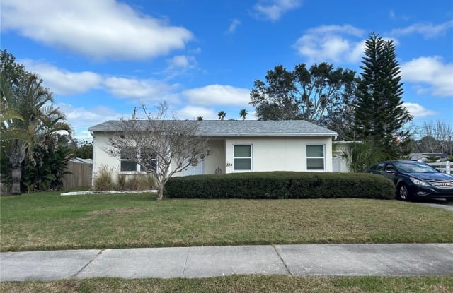324 SAN JOSE - 324 San Jose Drive, Dunedin, FL 34698
