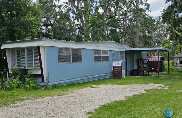 *MOVE-IN SPECIAL* Amazing Rental in Zephyrhills - 2 Bed 2 Bath Home Available NOW Gallery 3