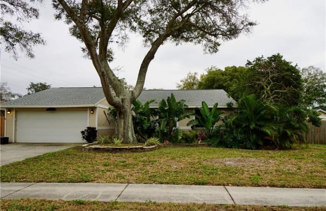 1191 MINEOLA CIRCLE - 1191 Mineola Circle, Palm Harbor, FL 34683