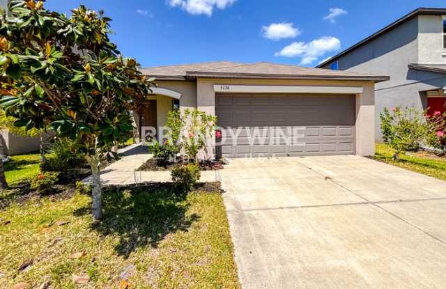 5136 White Chicory Drive photos photos