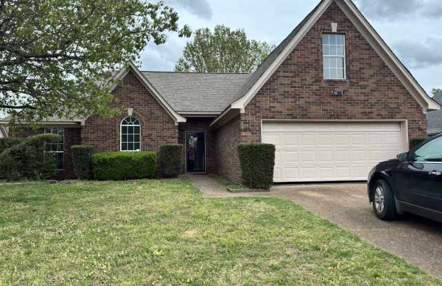 3806 Beatrice Cove photos photos