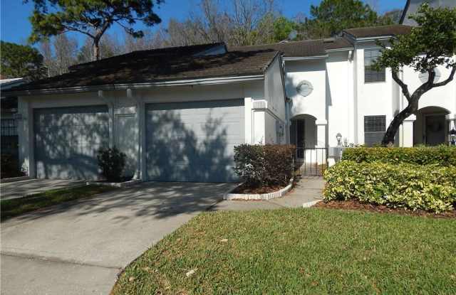 4117 BRENTWOOD PARK CIRCLE - 4117 Brentwood Park Circle, Northdale, FL 33624