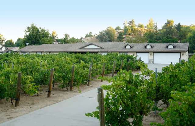 Temecula Wine Country Estate | Luxury 4BR Retreat with Pool, Vineyard Views & Entertainment Grounds photos photos