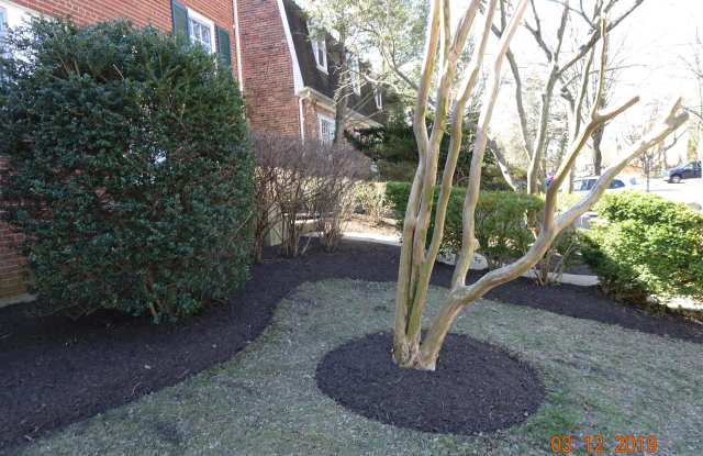 3016 Oliver St NW Gallery 2