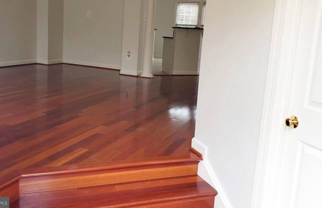 25352 HERRING CREEK Drive Gallery 3