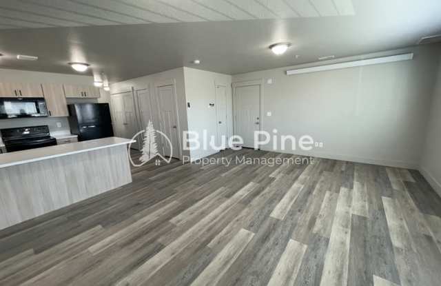 3570 Colt Circle Gallery 3