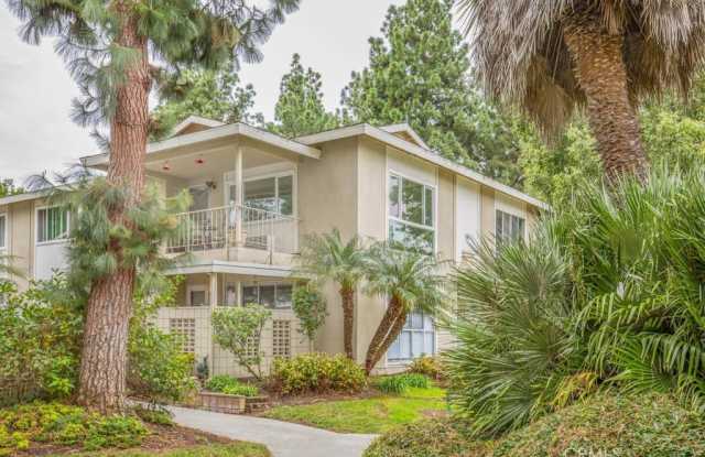 281 Avenida Carmel -N photos photos