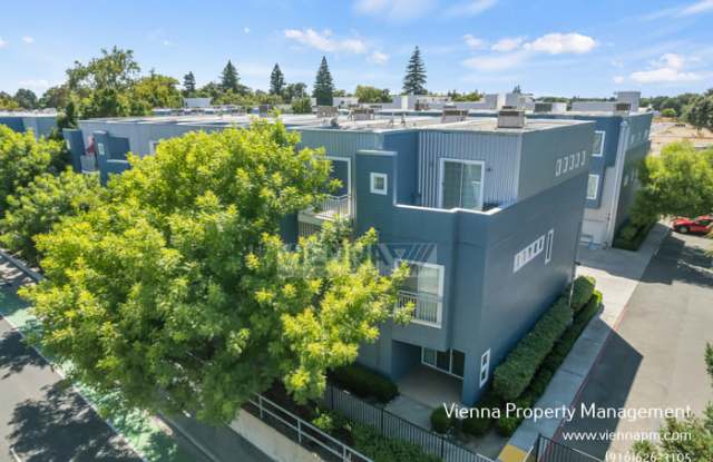 403 Harriet Lane photos photos