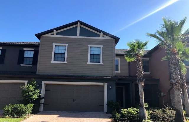 28574 Tranquil Lake Circle - 28574 Tranquil Lake Cir, Wesley Chapel, FL 33543