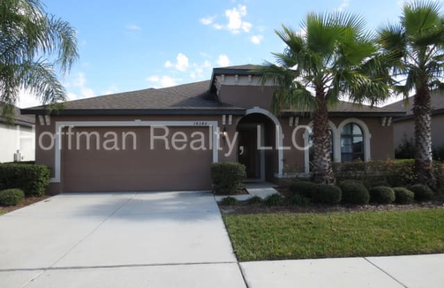 14346 Haddon Mist Drive - 14346 Haddon Mist Dr, Balm, FL 33598