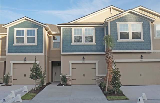 17637 LEDGER LINE LANE - 17637 Ledger Line Ln, Cheval, FL 33558