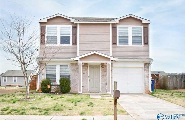 3294 Castlecreek Drive - 3294 Castlecreek Drive Southwest, Huntsville, AL 35756