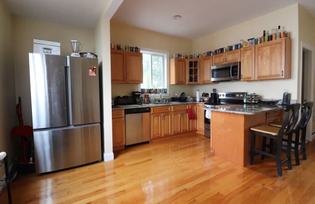 9 Cygnet St - 9 Cygnet Street, Boston, MA 02135