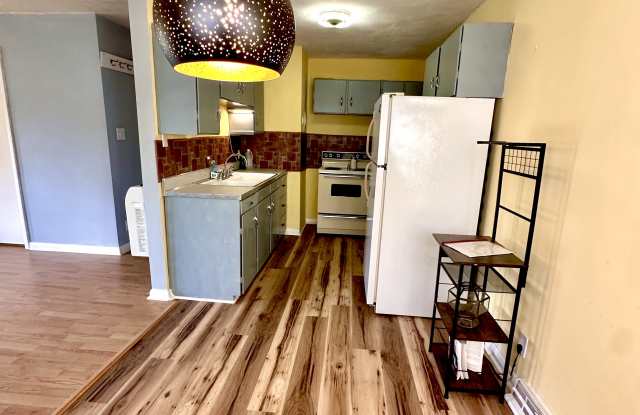 151 Gray Leaf Cir Gallery 4