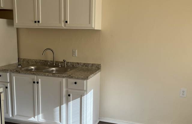 1115 Troy Street - 4 photos photos
