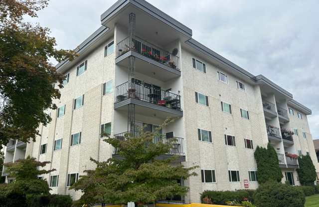 Spacious 2 Bed, 1 Bath Apartment at Lynnwood - 62+ Living!! photos photos