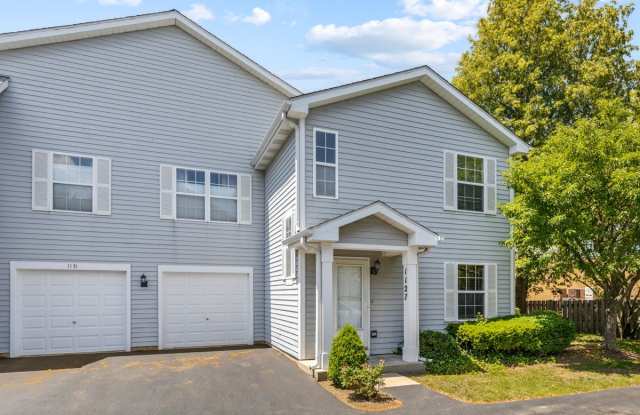 1127 Orleans Drive - 1127 Orleans Drive, Mundelein, IL 60060