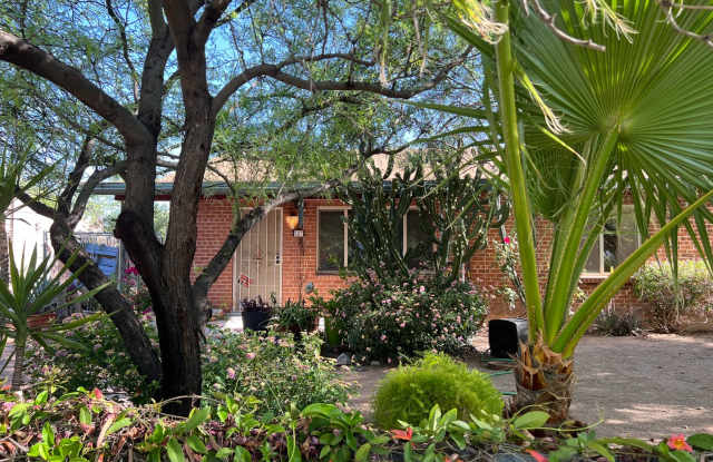 4 Bed. 2 Ba. Home in Historic Dist. Minutes from the U of A, Downtown  4th Ave. Bus. District - 327 East Mabel Street, Tucson, AZ 85705