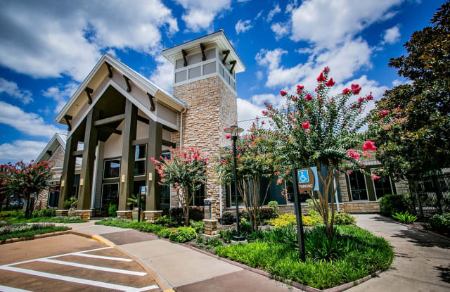 Aliso Briar Forest Gallery 4