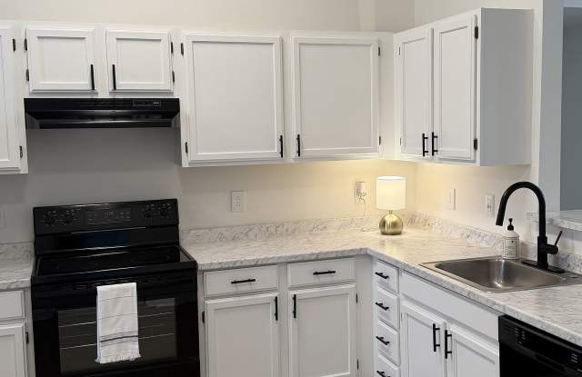 ReNew Norwich photos photos