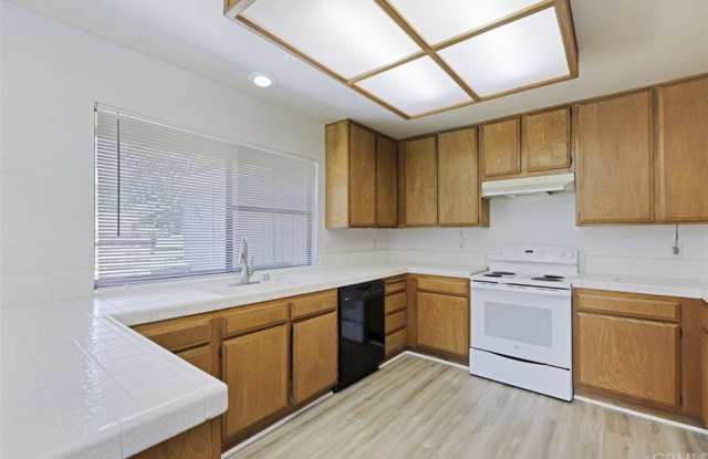27541 Avenida Larga Gallery 4