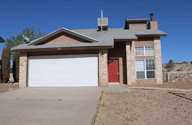 704 SPRINGFIRE photos photos