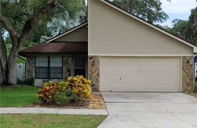 161 Marshall St - 161 Marshall Street, Safety Harbor, FL 34695
