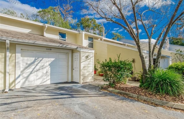 11239 CEDAR HOLLOW LANE - 11239 Cedar Hollow Lane, Carrollwood, FL 33618