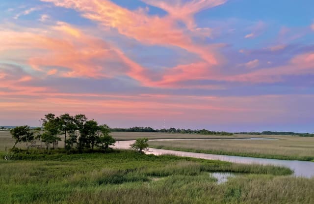5 Waterway Island Drive - 5 Waterway Island Drive, Isle of Palms, SC 29451