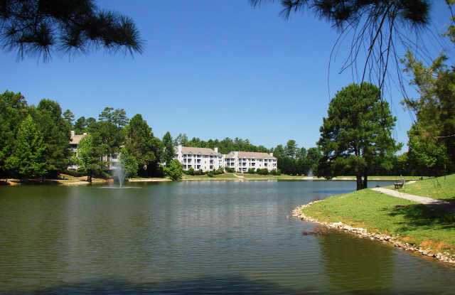 931 Springfork Drive - Bev Roberts Rentals and Property Management Gallery 4