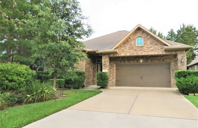 3 Jaspers Place - 3 Jaspers Pl, The Woodlands, TX 77389