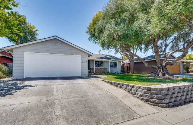 Single Story 3/2 in Well Established Neighborhood Near Branham High School with Air conditioning and Pet-Friendly photos photos